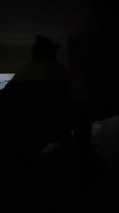 我的大屁股熟女