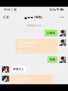 有偿招收母狗现实网络都可以